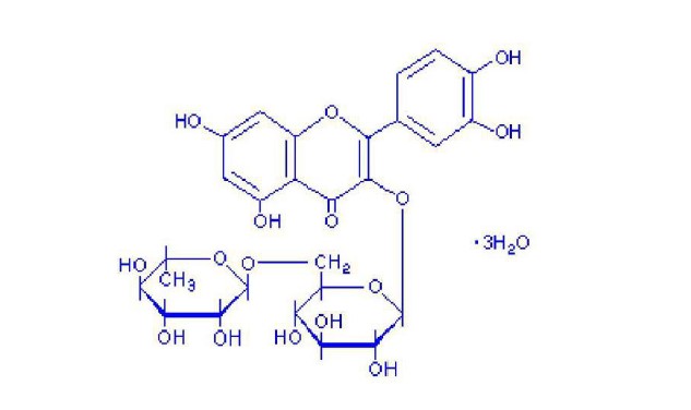 必发365(中国)兴趣网投天天必发