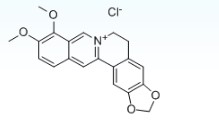 必发365(中国)兴趣网投天天必发