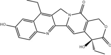 必发365(中国)兴趣网投天天必发